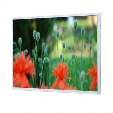 LCD 19 Inci Baru Asli LQ190E1LW02